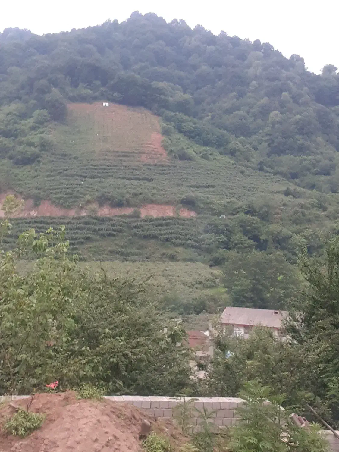 فروش یک قطعه زمین ویلایی لاکچری در آستارا|فروش زمین و ملک کلنگی|لوندویل, |دیوار