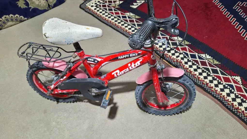 دوچرخه|دوچرخه، اسکیت، اسکوتر|چرام, |دیوار