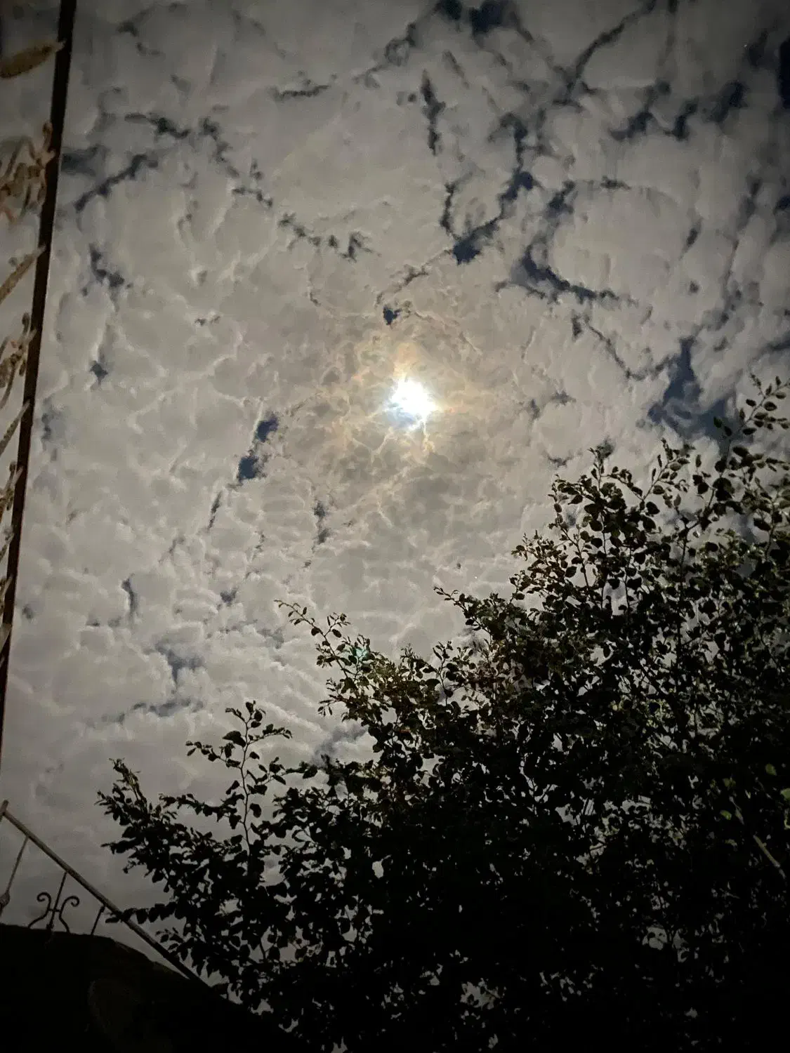 خونه اجاره ای|اجارهٔ خانه و ویلا|ایرانشهر, |دیوار