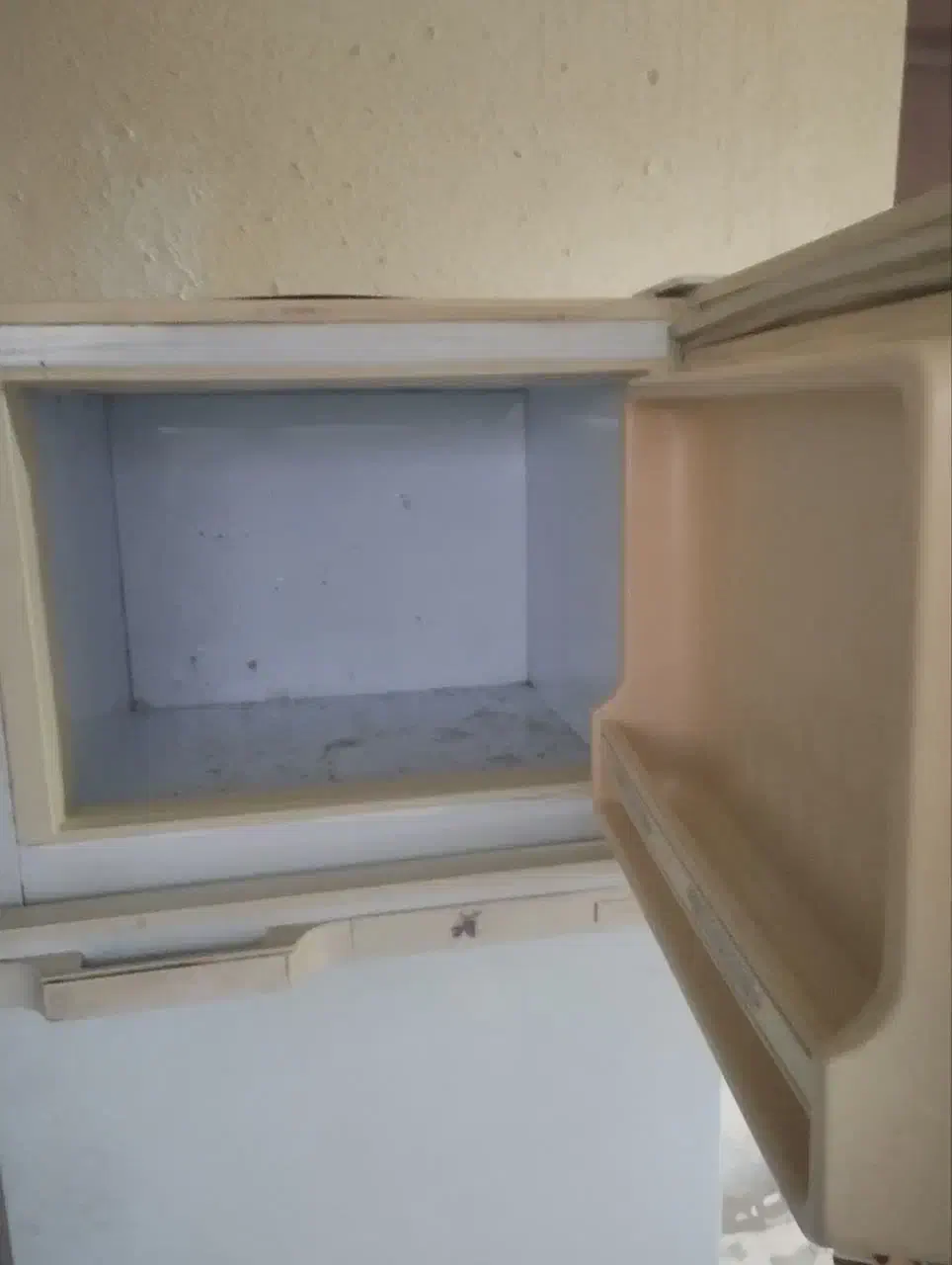 یخچال فروش فوری|یخچال و فریزر|کنارک, |دیوار