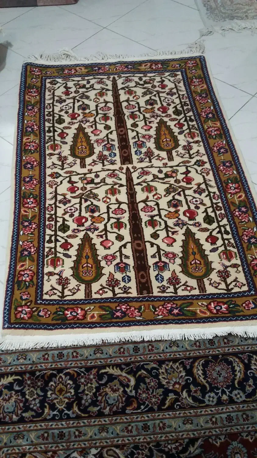 زرع و نیم دست بافت بختیاری تازه از دار افتاده|فرش|اصفهان, الهیه|دیوار