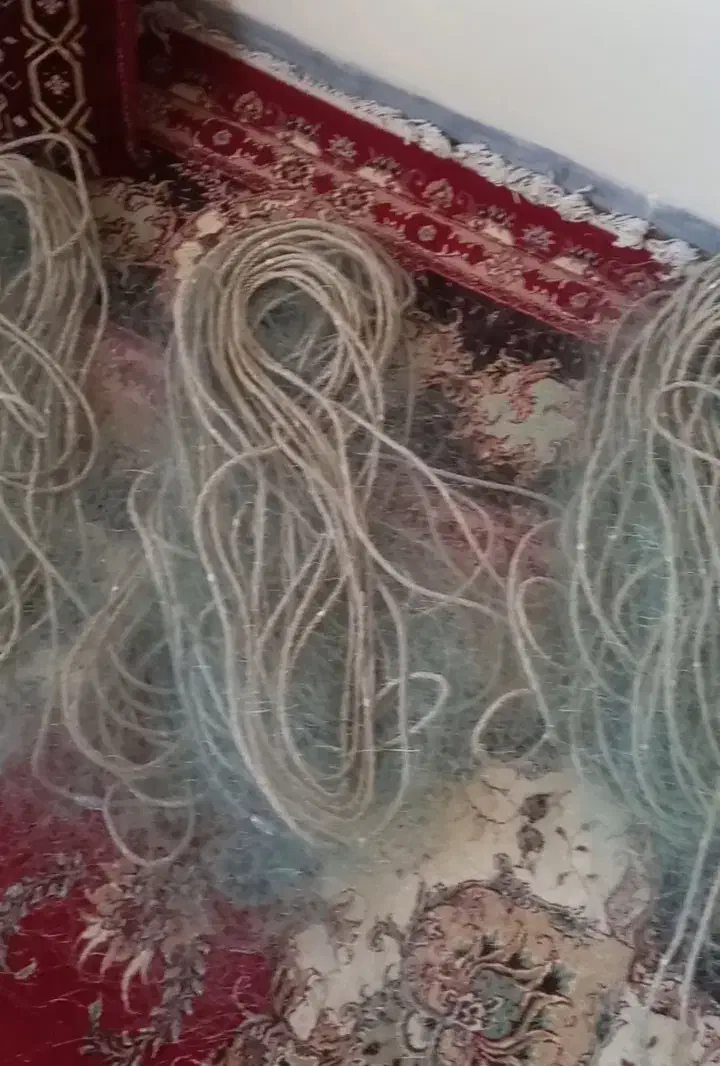 تور ماهیگیری دیواری، راه بند|ماهیگیری|چادگان, |دیوار