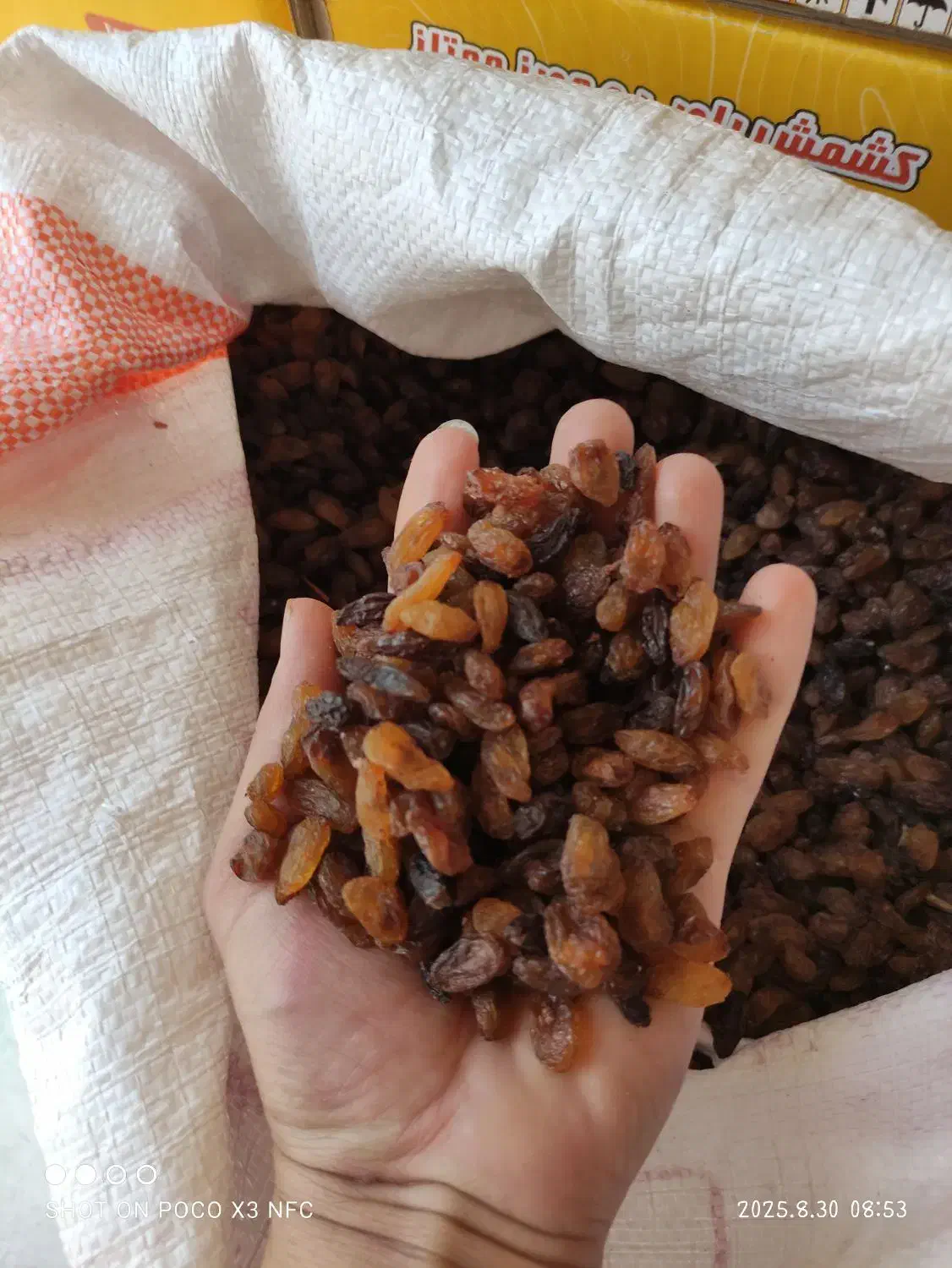 خشکبار کشمش و گله کاشمر احمد صمدی عبادی91|خوردنی و آشامیدنی|مشهد, عبادی|دیوار