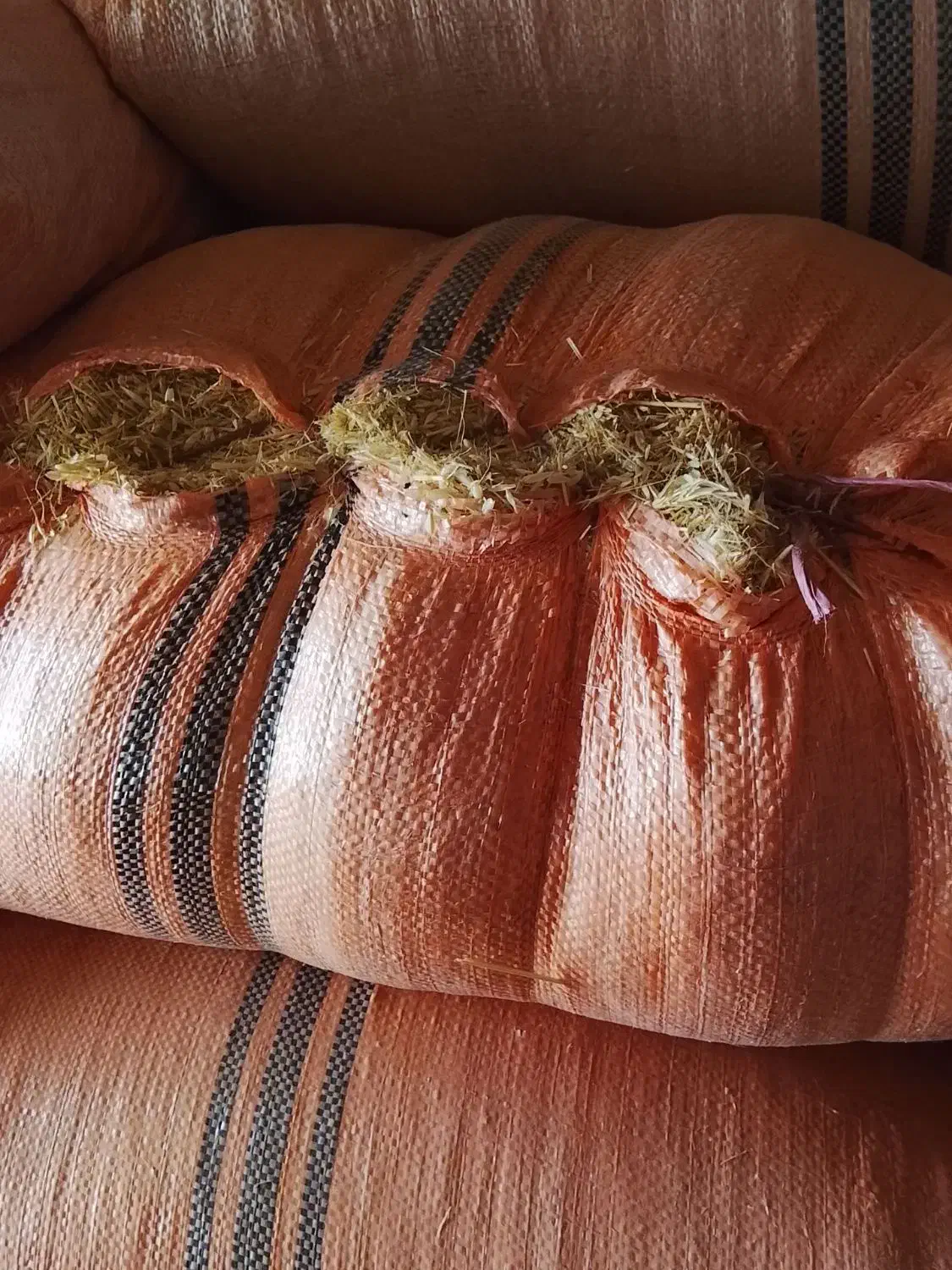 کاه|خدمات باغبانی و درختکاری|پلدشت, |دیوار