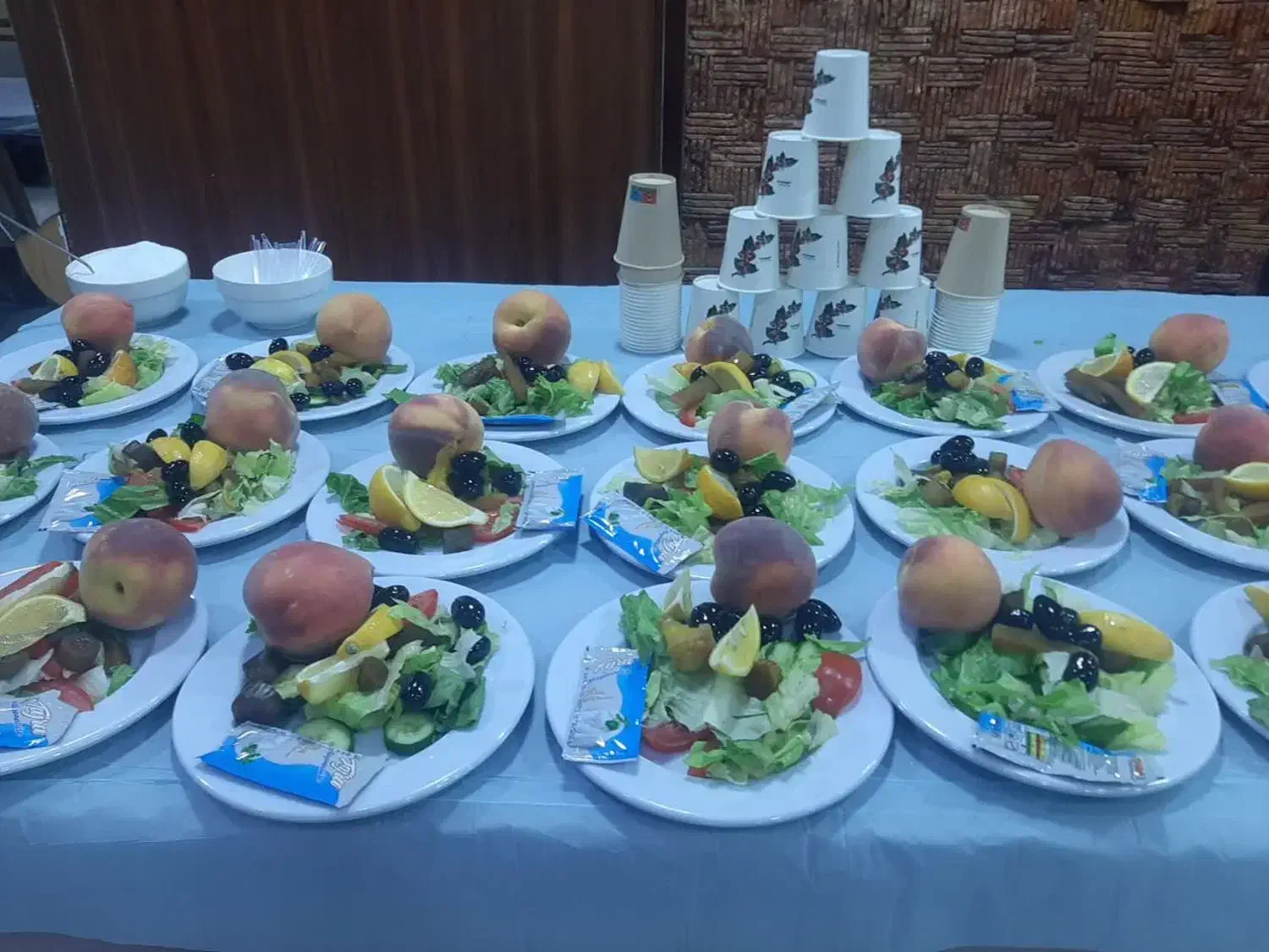 تورچارتر|تور و چارتر|خرم‌آباد, |دیوار