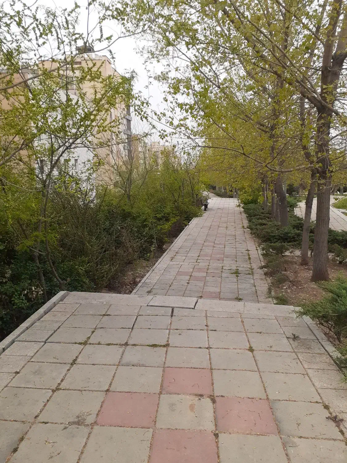 اجاره مغازه ۲۵ متری و انبار ۷۵ متری با هم یا جدا|اجارهٔ مغازه و غرفه|بروجرد, |دیوار