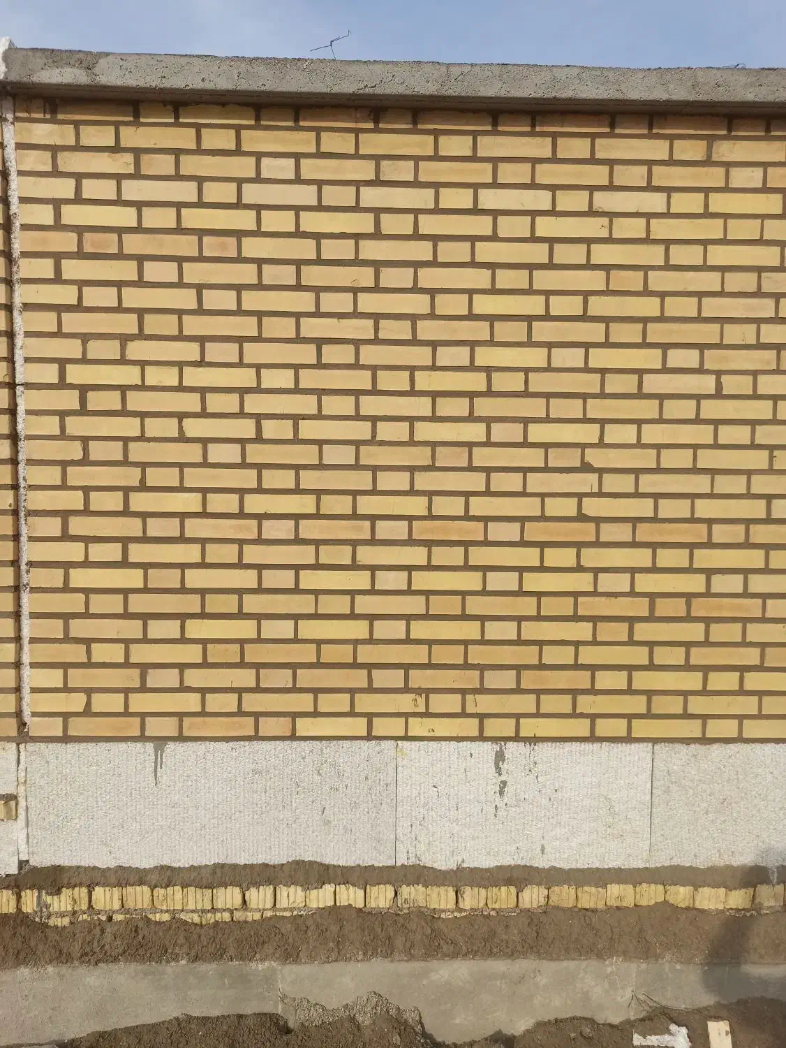 بنا|خدمات پیشه و مهارت|بوشهر, |دیوار