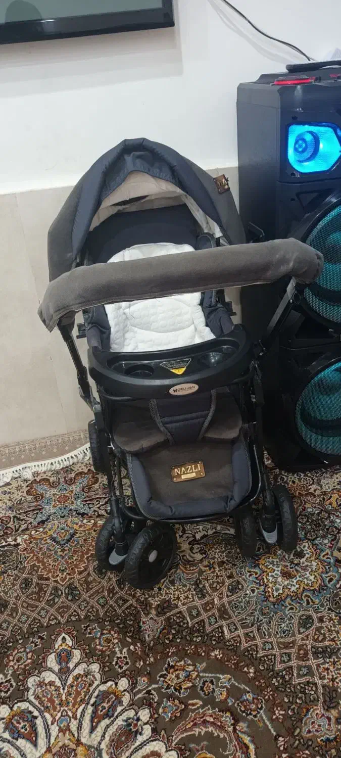 کالسکه مدل دلیجان|کالسکه و لوازم جانبی|سبزوار, شرق کال عیدگاه|دیوار