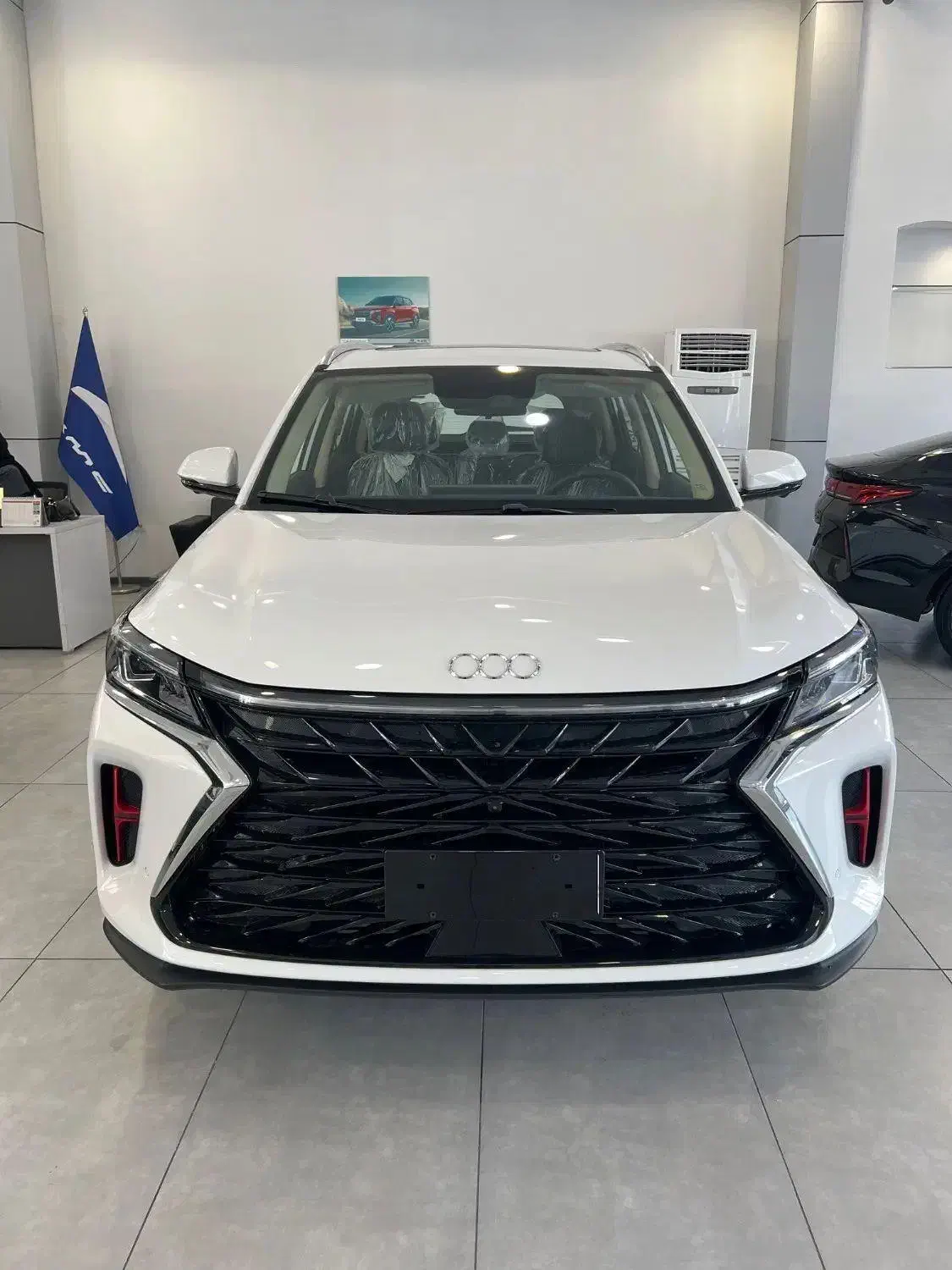 توکا|خودرو سواری و وانت|رشت, شکار اسطلخ|دیوار