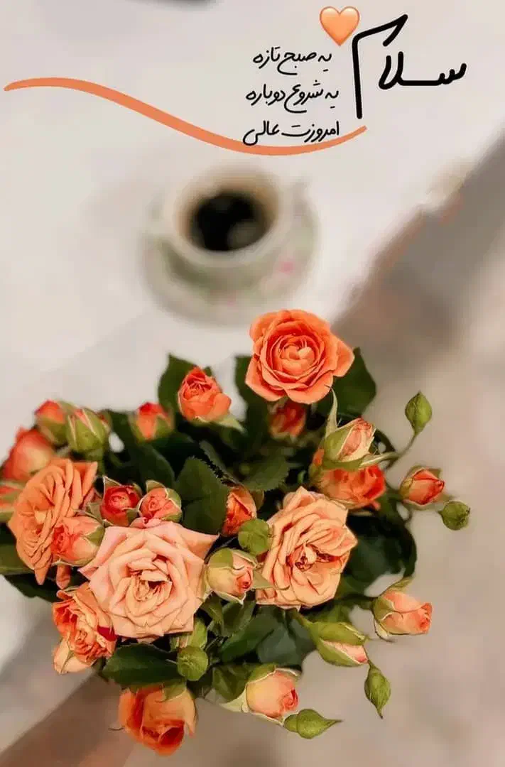 ساده بیا خفن برو|خدمات رایانهای و موبایل|کرمانشاه, |دیوار