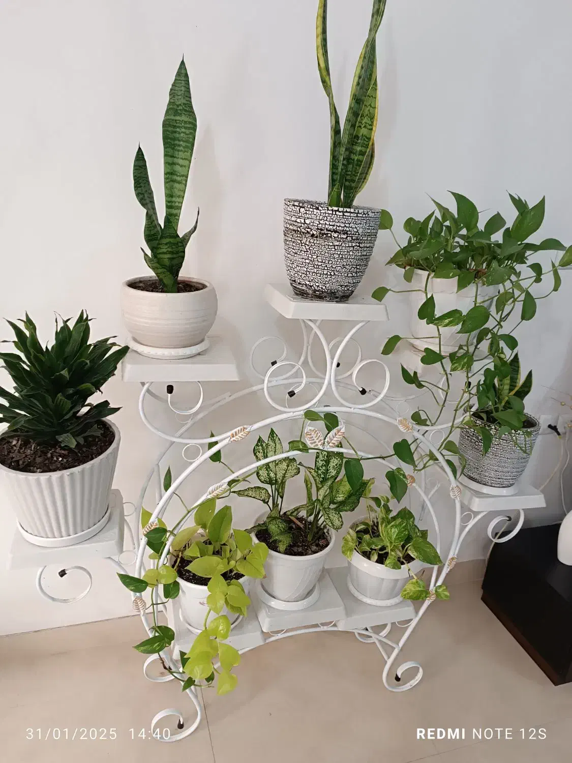 استندگل|کتابخانه، شلف، قفسه‌های دیواری|رشت, نخودچر|دیوار