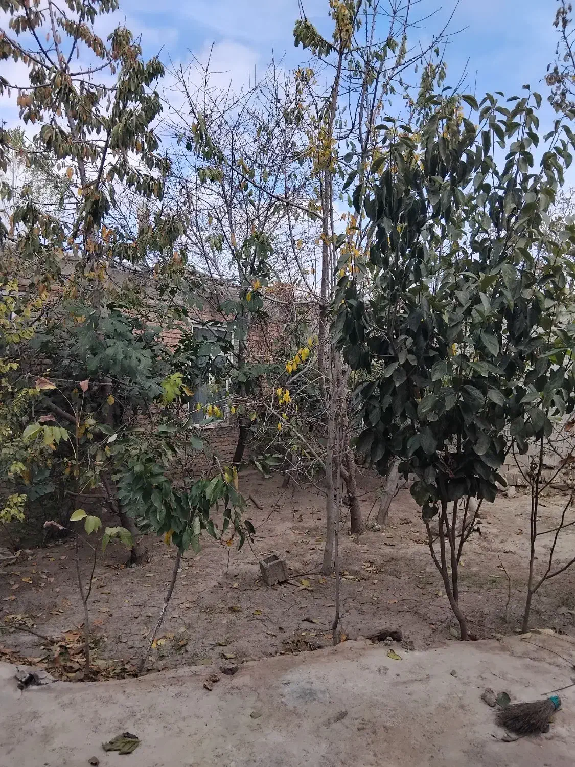 خانه ویلایی در روستای اندزق معروف به پیرعلی|فروش خانه و ویلا|مشگین شهر, |دیوار