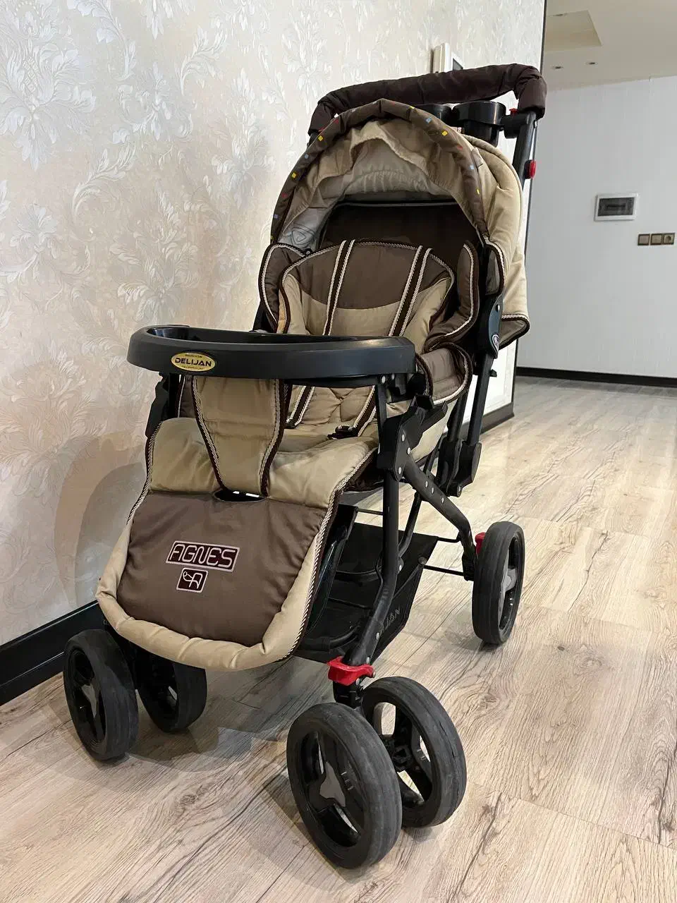 کالسکه دلیجان|کالسکه و لوازم جانبی|یزد, |دیوار