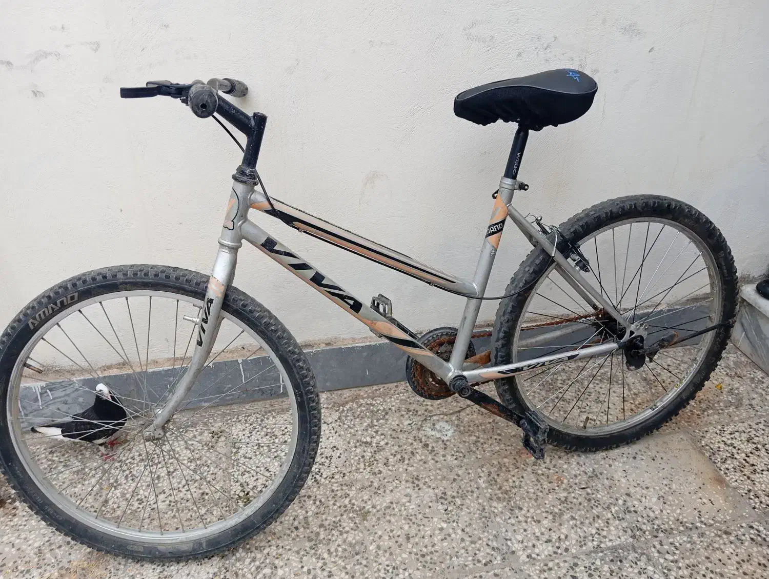 دوچرخه ویوا تنه آلومینیوم|دوچرخه، اسکیت، اسکوتر|آزادشهر, |دیوار