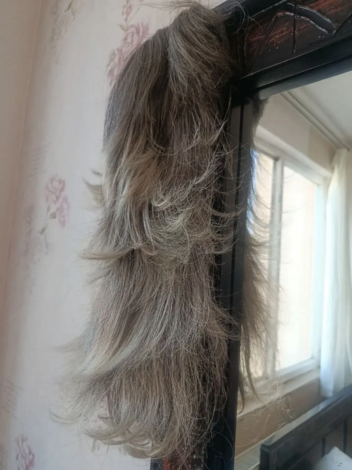 کلاه گیس|آرایشی، بهداشتی، درمانی|تبریز, |دیوار