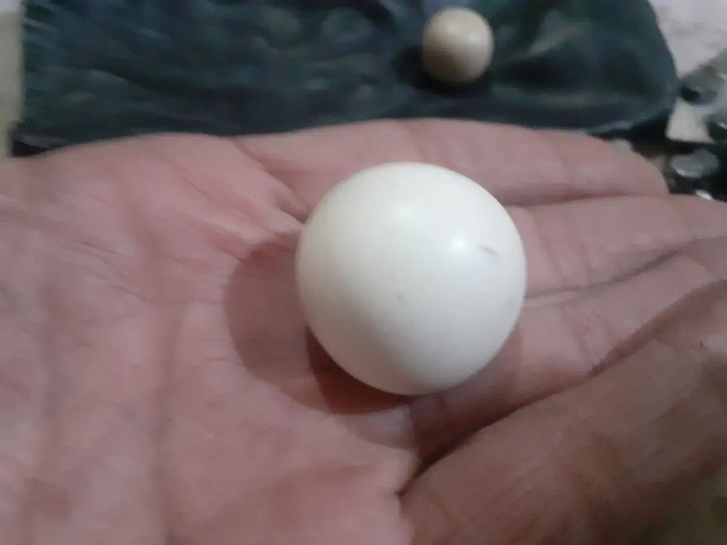 سنگ الماس قدمت دار اصل وپلاک وسگگ|زیورآلات و اکسسوری|دامغان, |دیوار