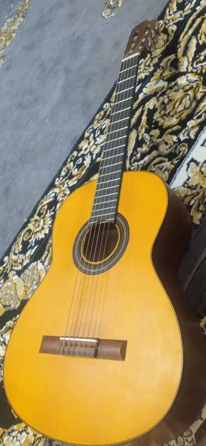 گیتار اموزشی|گیتار، بیس، امپلیفایر|یزد, |دیوار