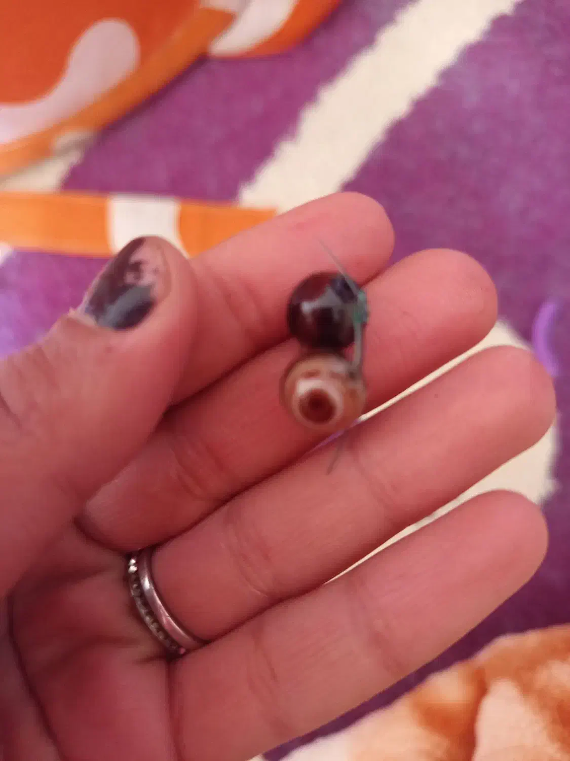 مهره قدیمی اصل|کلکسیون اشیاء عتیقه|دوگنبدان, |دیوار