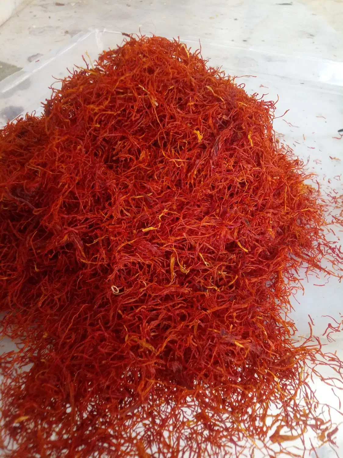 زعفران|خوردنی و آشامیدنی|مشهد, کوی دروی|دیوار