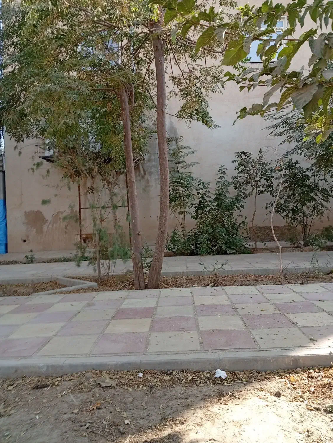 خونه|فروش خانه و ویلا|شریفآباد, |دیوار