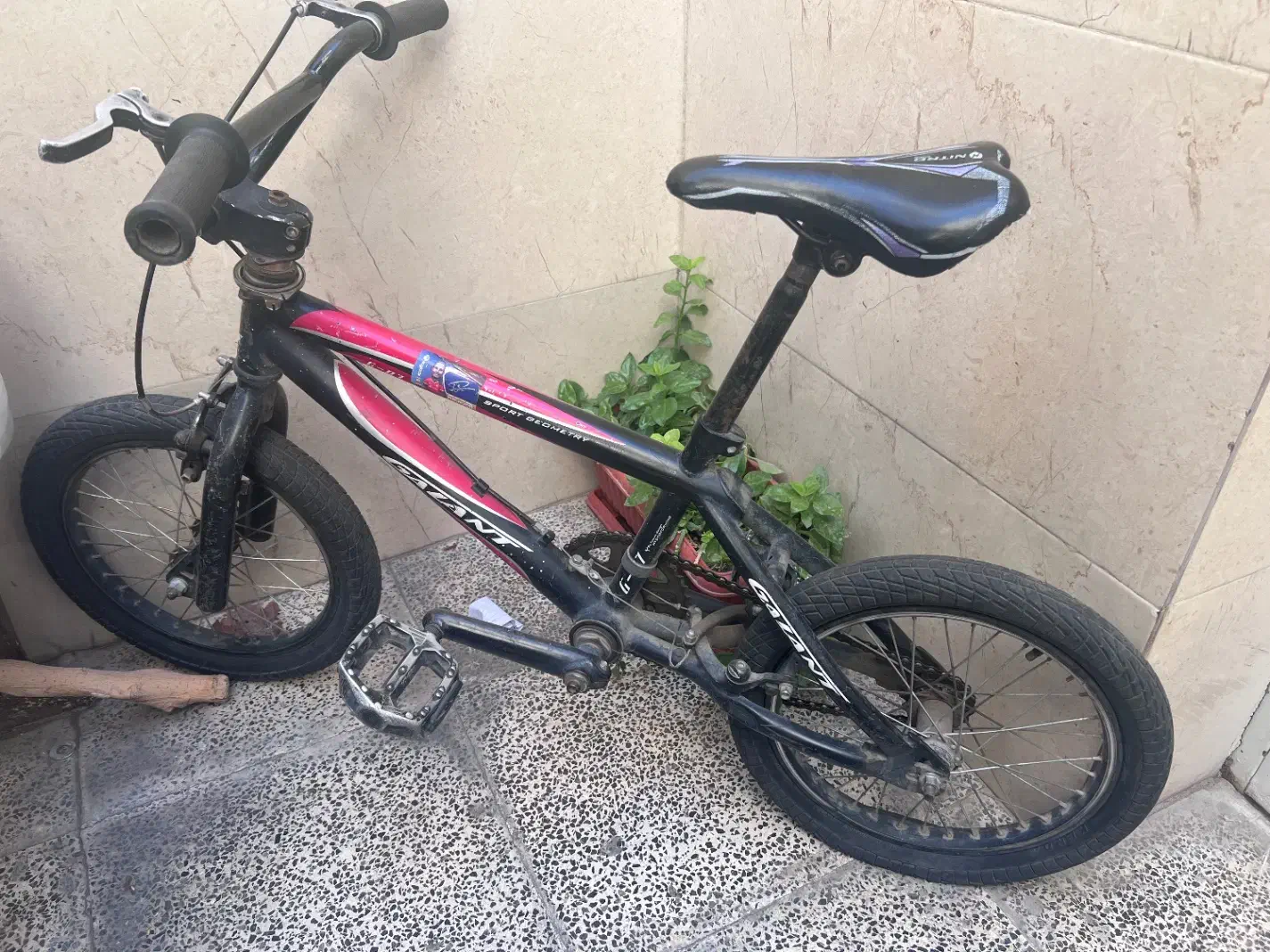 دوچرخه سایر ۲۰|دوچرخه، اسکیت، اسکوتر|قدس, شهرقدس|دیوار