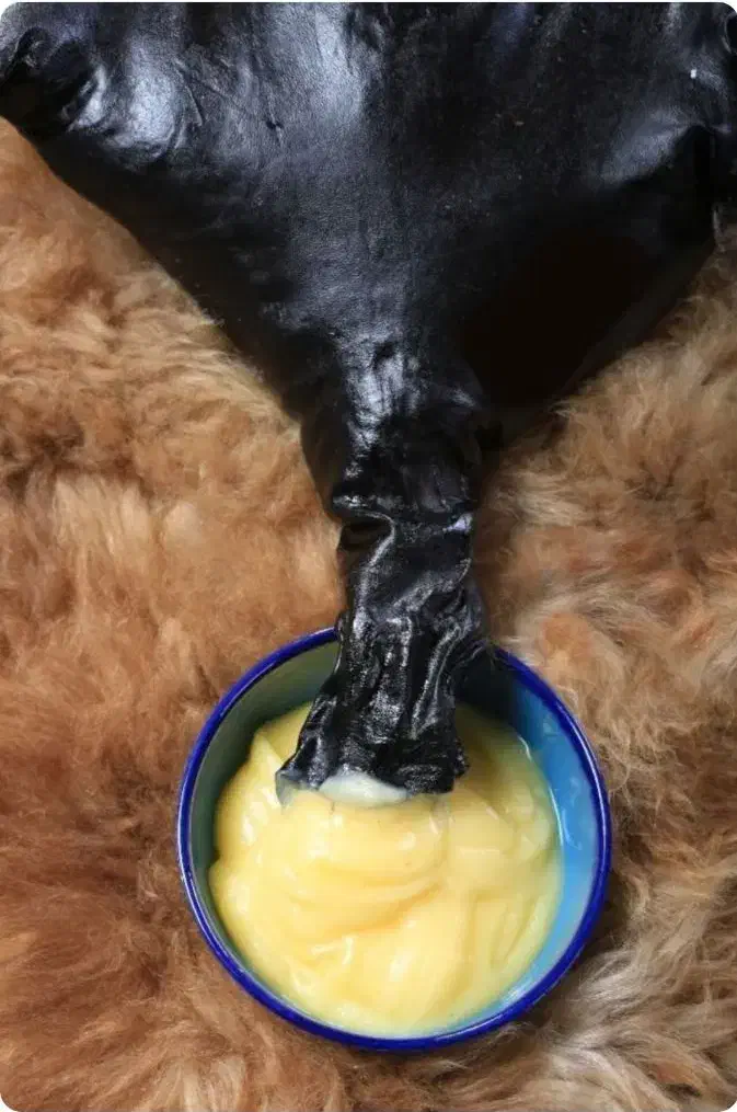 روغن حیوانی کرمانشاهی|خوردنی و آشامیدنی|تهران, سلسبیل شمالی|دیوار