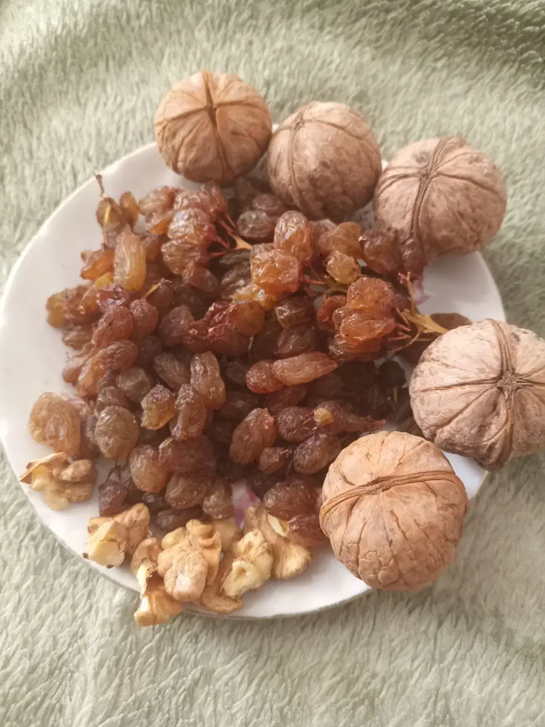 گردو کشمش عمده و جزئی|عمده‌فروشی|شیروان (خراسان), |دیوار