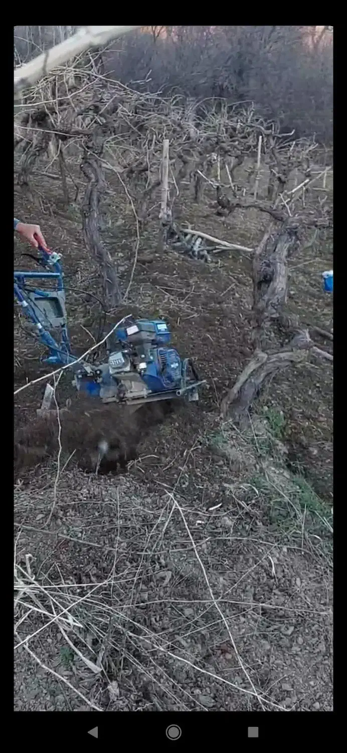 تیلر زنی وشخم زنی|خدمات باغبانی و درختکاری|دینور, |دیوار