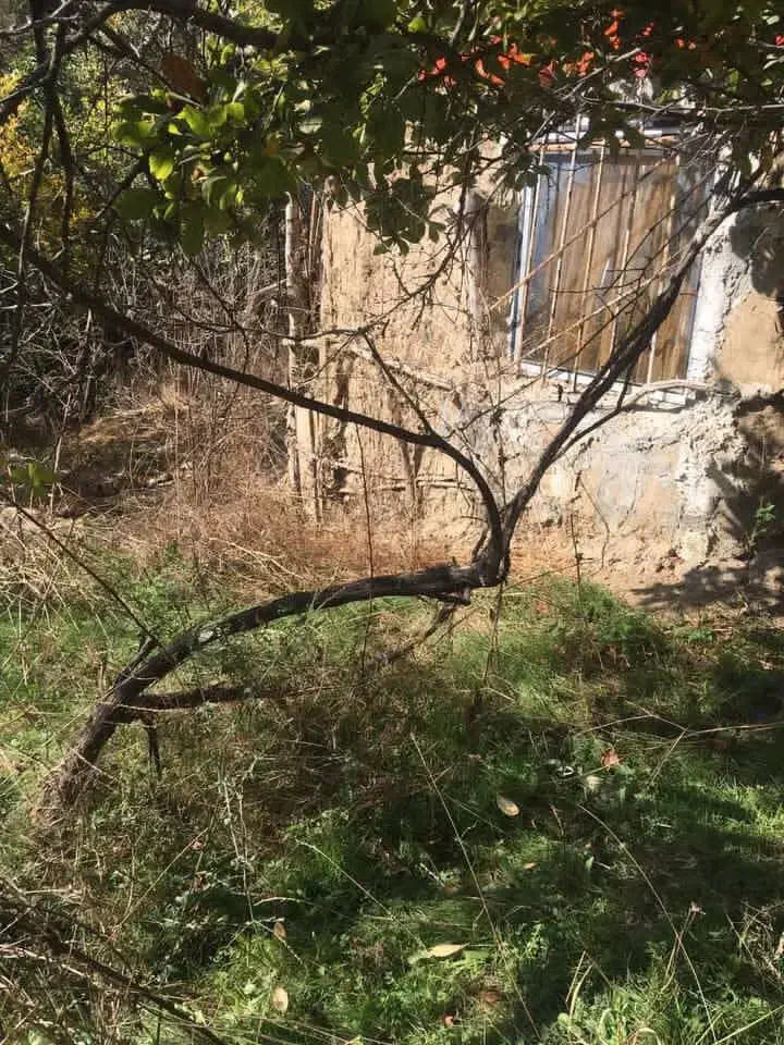 باغ و باغچه|فروش زمین و ملک کلنگی|طارم (زنجان), |دیوار