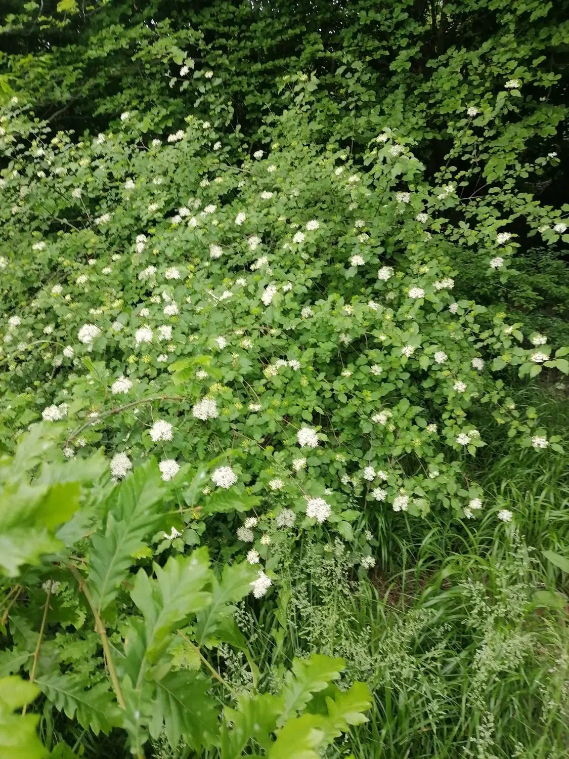 آموزش ریاضی و تمام دروس کارگاه هفتگی|خدمات آموزشی|نیشابور, بنیاد شهید|دیوار