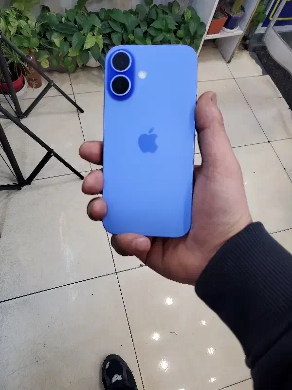 ایفون ۱۶ نرمال|موبایل|تهران, افسریه شمالی|دیوار