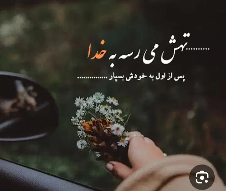 راننده لیفتراک|خدمات حمل و نقل|مرودشت, تخت جمشید|دیوار