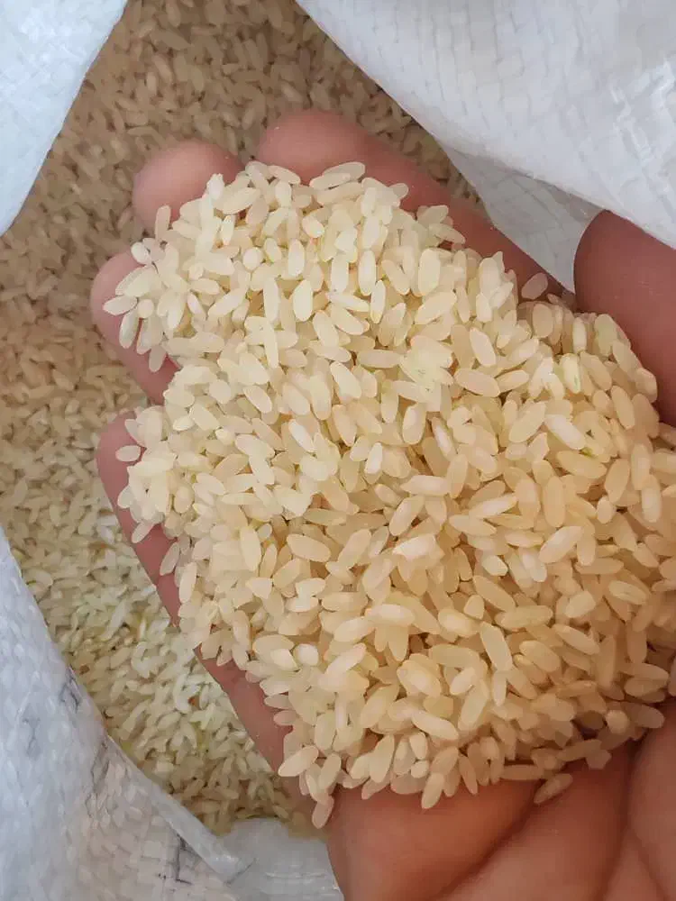 برنج کامفیروزی|خوردنی و آشامیدنی|شیراز, گویم|دیوار