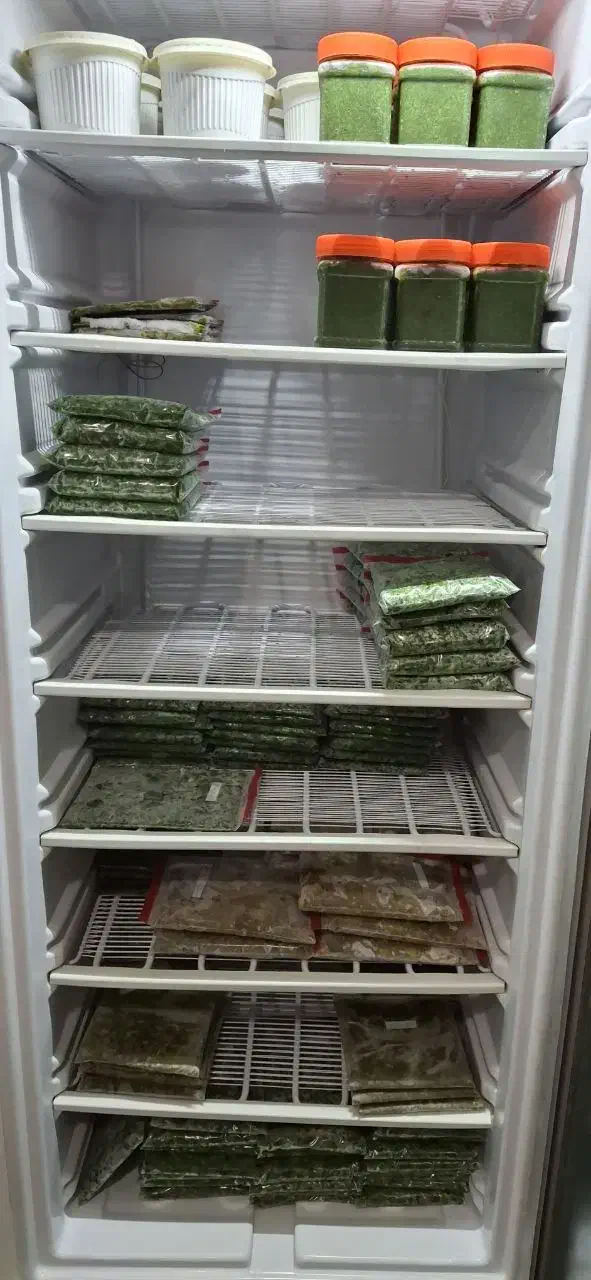 فریزرتک درب ویترینی|فروشگاه و مغازه|لنگرود, |دیوار