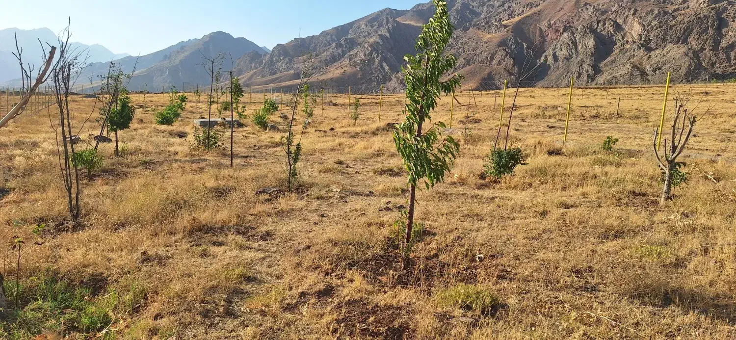 فروش زمین|فروش زمین و ملک کلنگی|طالقان, |دیوار