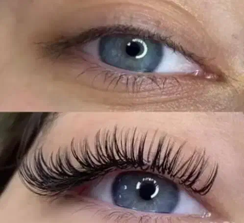 آموزش اکستنشن و لیفت و لمینیت مژه و ابرو پاییزه|خدمات آموزشی|مشهد, سجاد شهر|دیوار