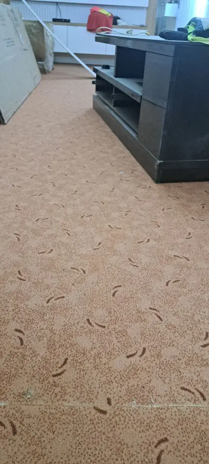 موکت|موکت|اسلام‌شهر, شهرک قائمیه|دیوار