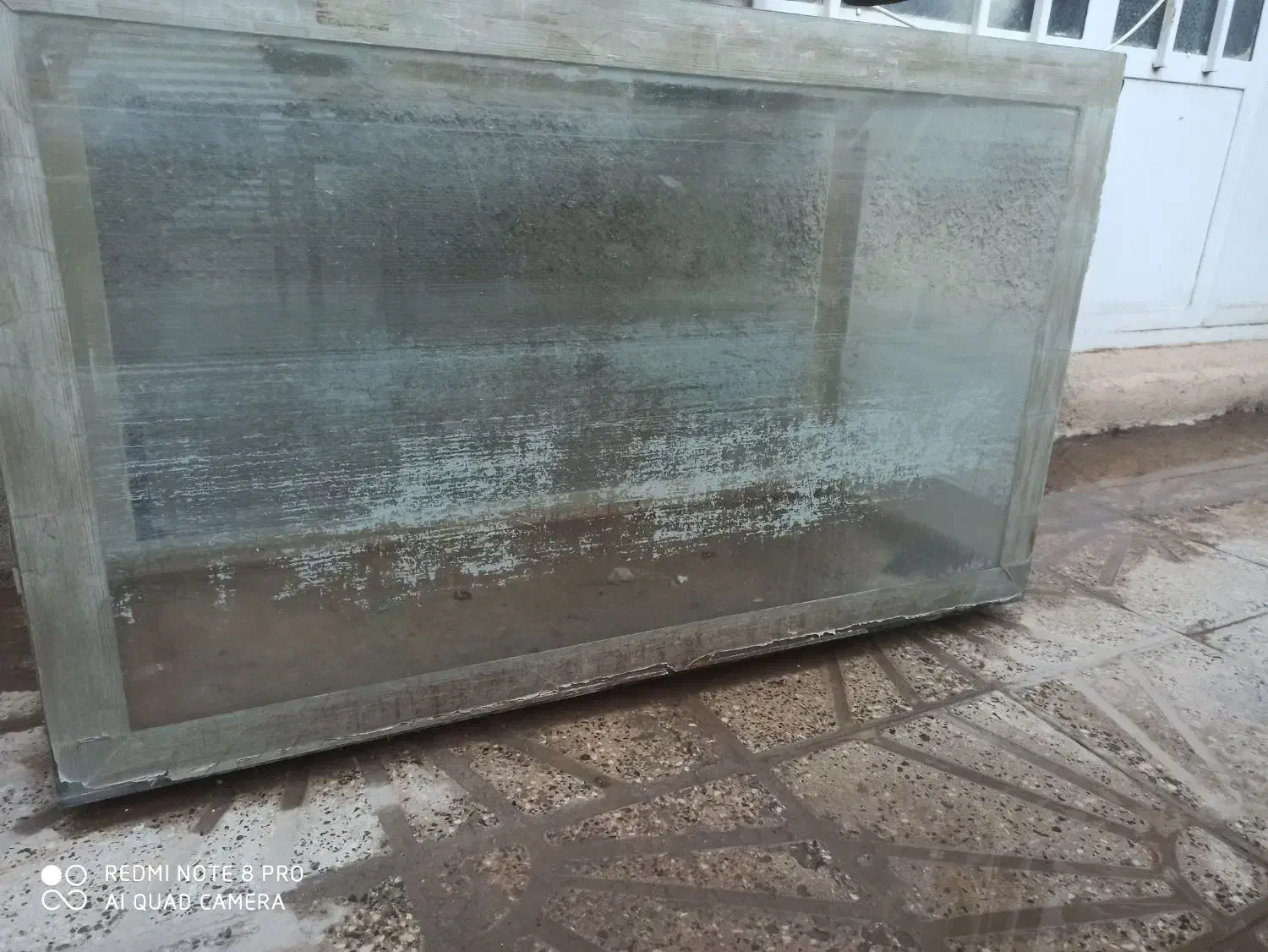 آکواریوم|ماهی|نی‌ریز, |دیوار