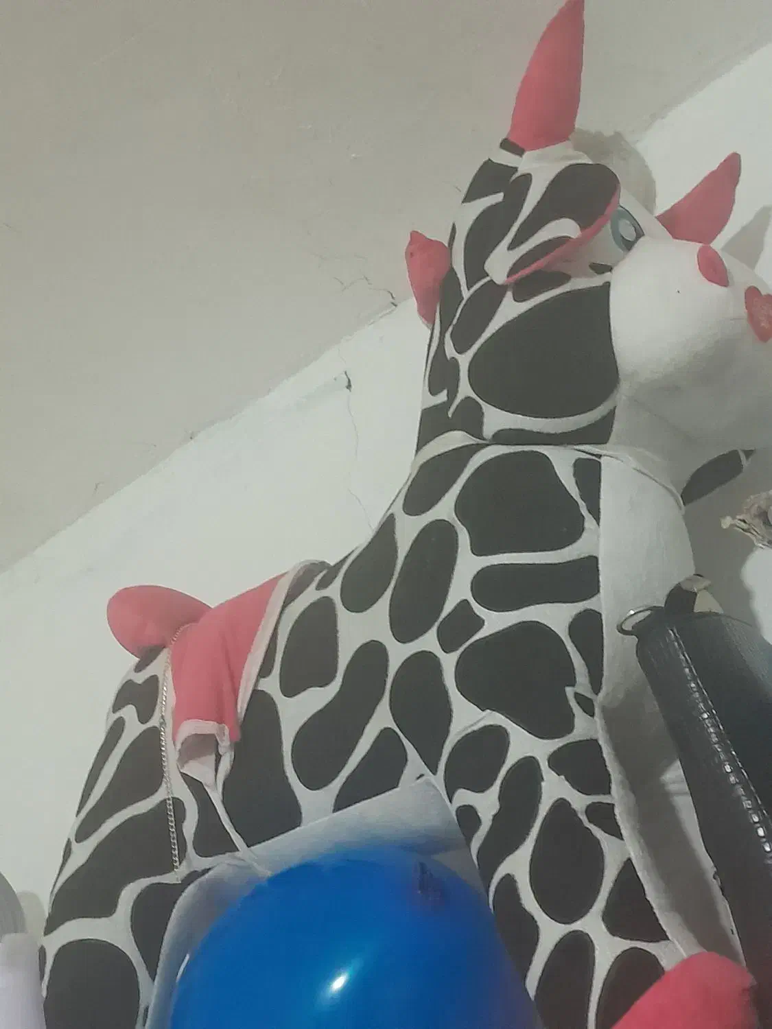 راکر اسب|اسباب‌‌بازی|خرمشهر, |دیوار