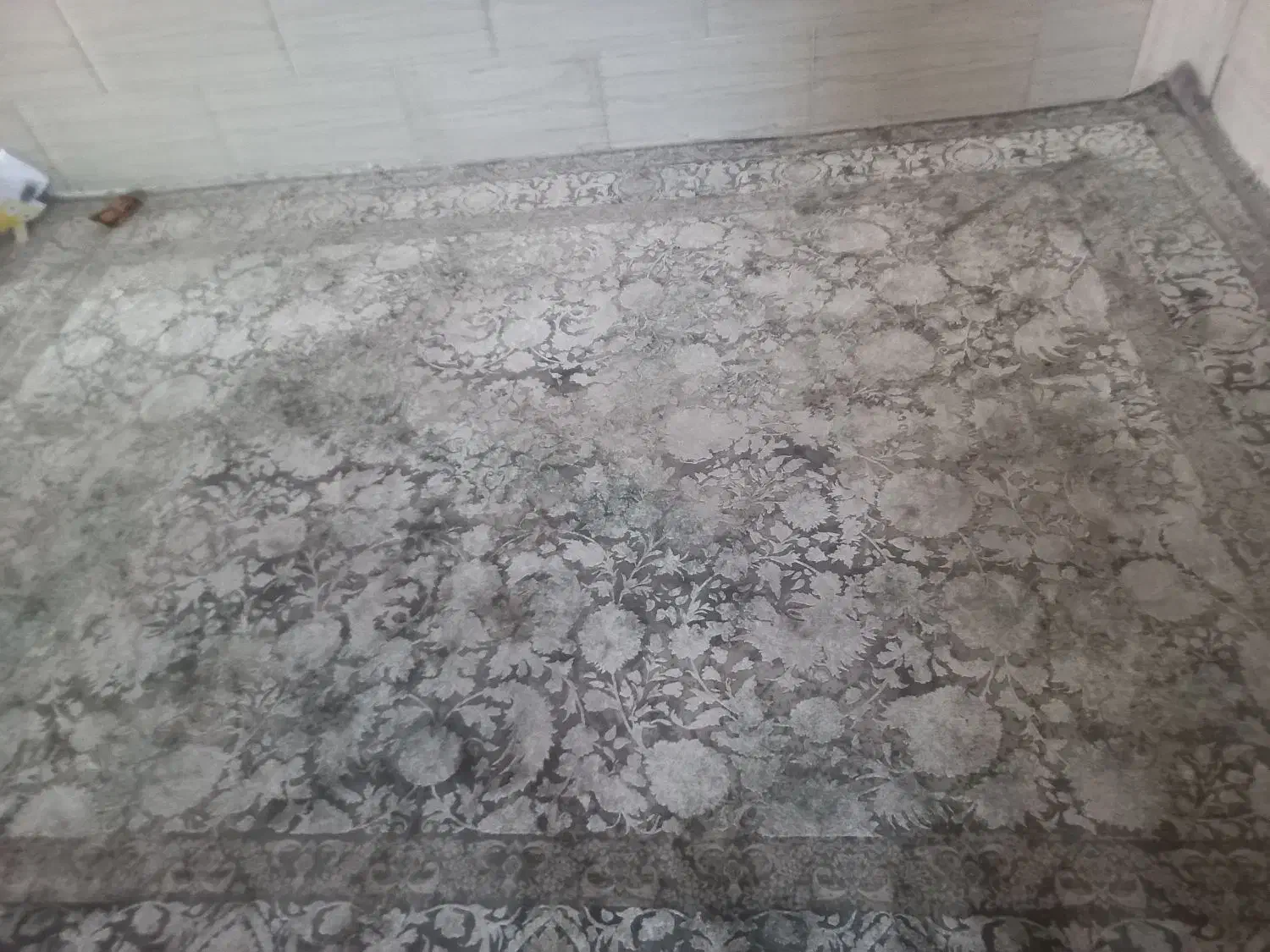 دو عدد فرش|فرش|تاکستان, |دیوار