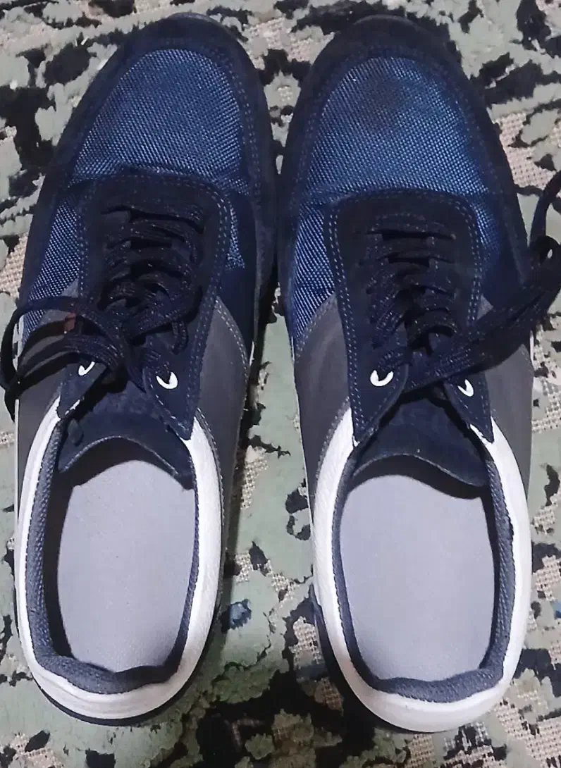 کتونی|کیف، کفش، کمربند|نورآباد, |دیوار