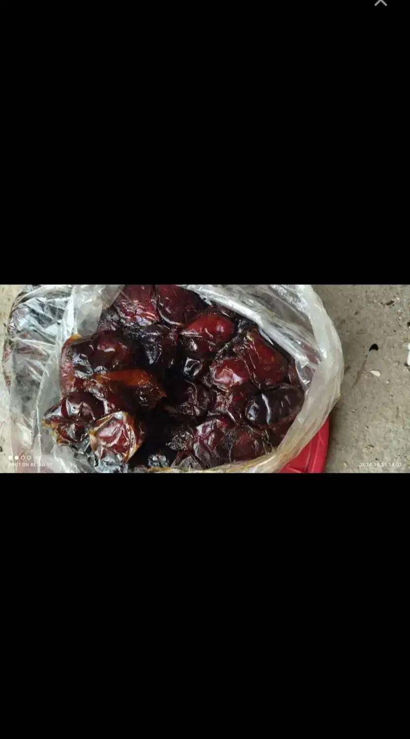 خرمای کبکاب جم|خوردنی و آشامیدنی|جم, |دیوار