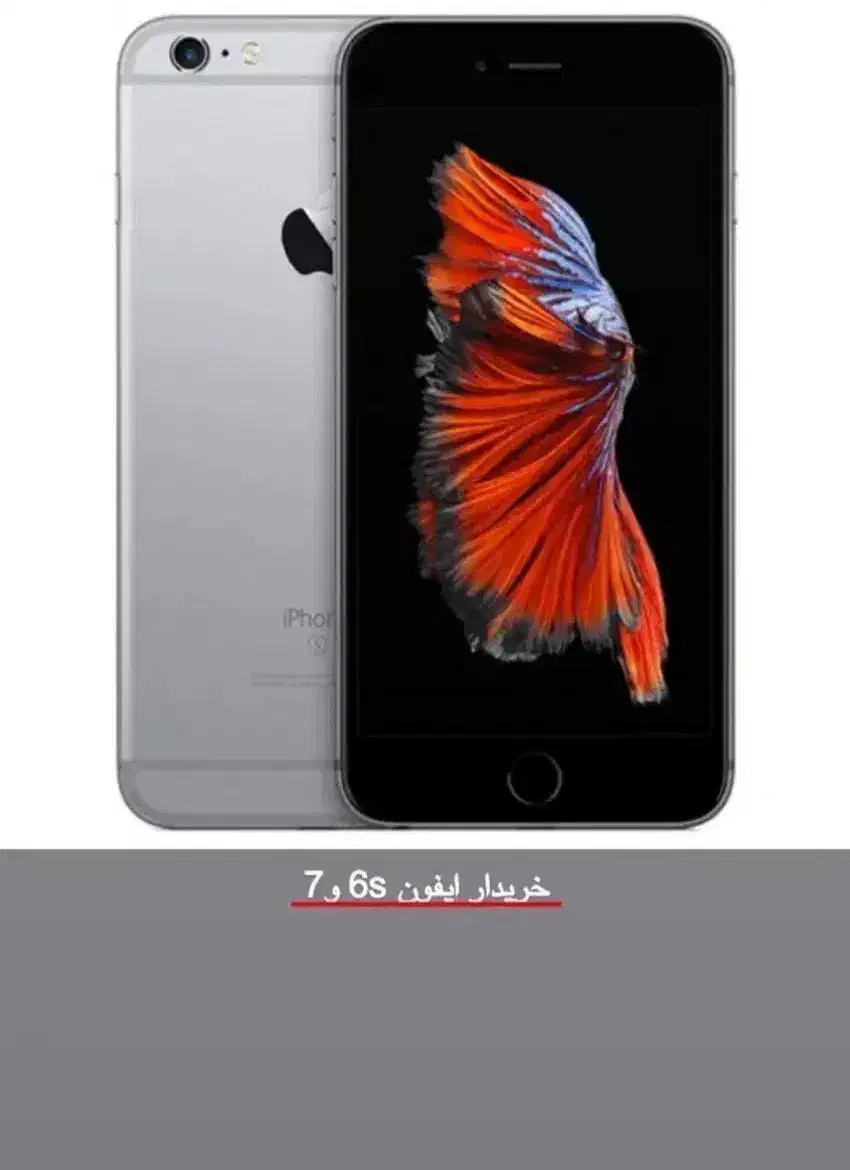 ایفون s6|موبایل|سراوان, |دیوار