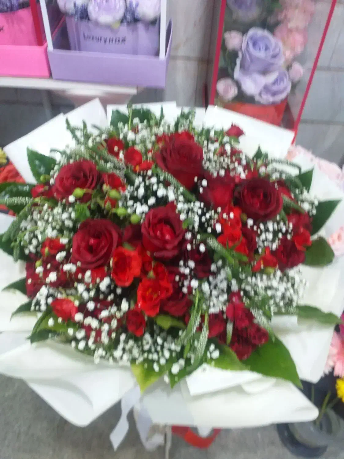 گل طبیعی و مصنوعی|گل و گیاه طبیعی|پاکدشت, پاکدشت (مامازند)|دیوار