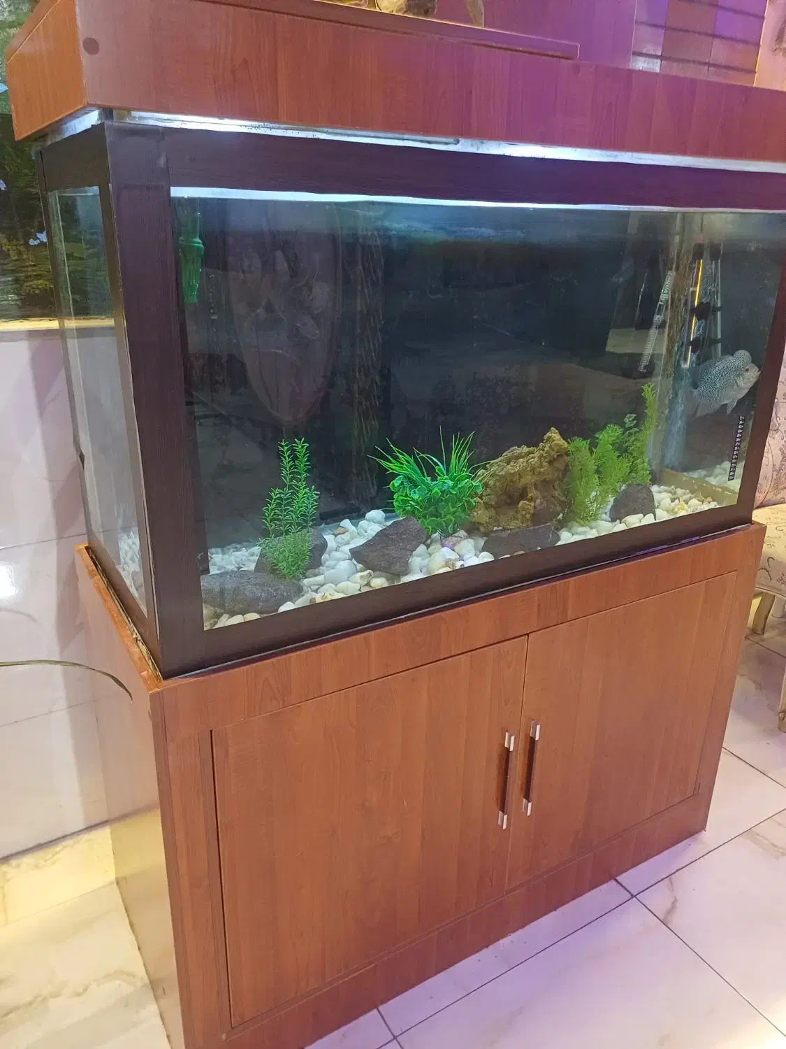 اکواریوم کمد ام دی اف|لوازم جانبی حیوانات|صوفیان, |دیوار