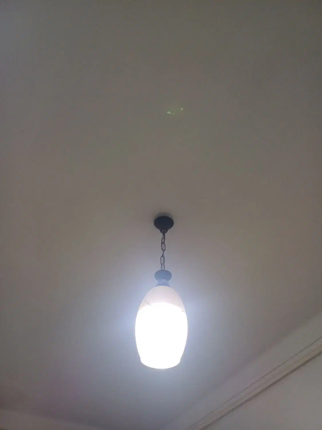 دو عدد لوستر|لوستر و چراغ آویز|زنجان, |دیوار