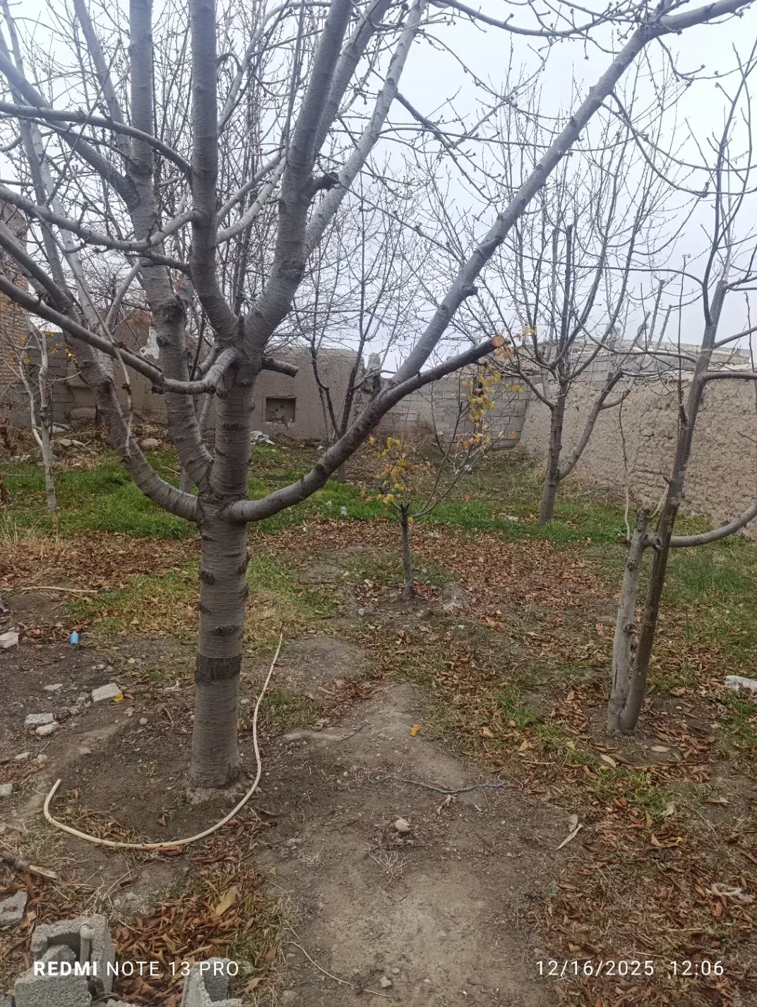 200متر زمین در روستای جمال آباد|فروش زمین و ملک کلنگی|قصابه, |دیوار