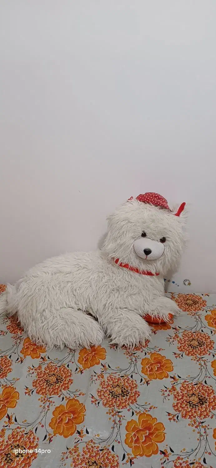 عروسک گربه بزرگ فقط 250 تومن|اسباب‌‌بازی|تربت جام, شهرک معلم|دیوار