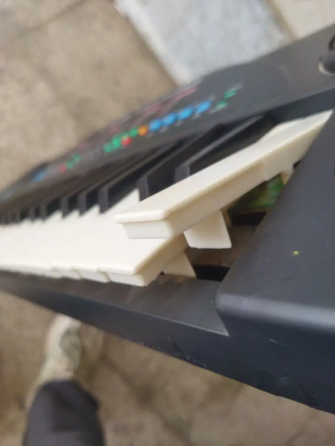 ارگ|پیانو، کیبورد، آکاردئون|گلبهار, شهر جدید گلبهار|دیوار