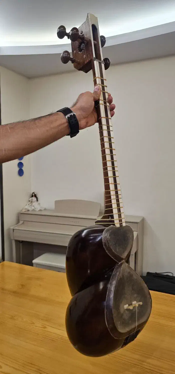 تار شیراز دو مهر ایران ساز|سازهای سنتی|تهران, فلسطین (میدان انقلاب)|دیوار